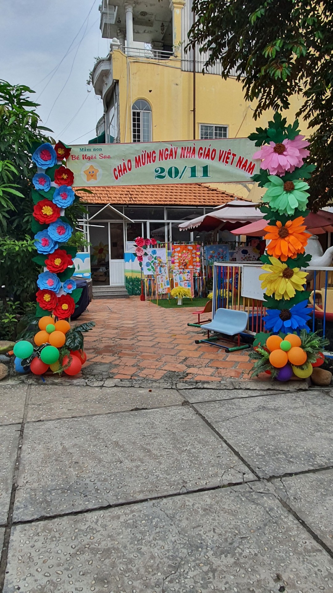 ƯƠM MẦM 20/11/2022