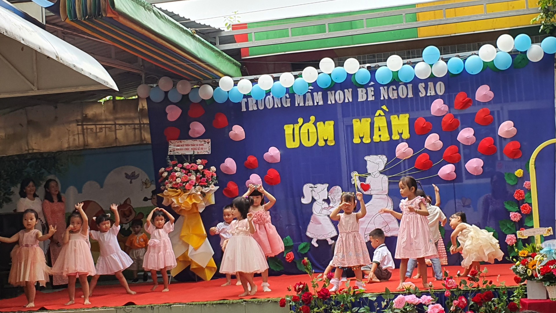 ƯƠM MẦM 20/11/2022