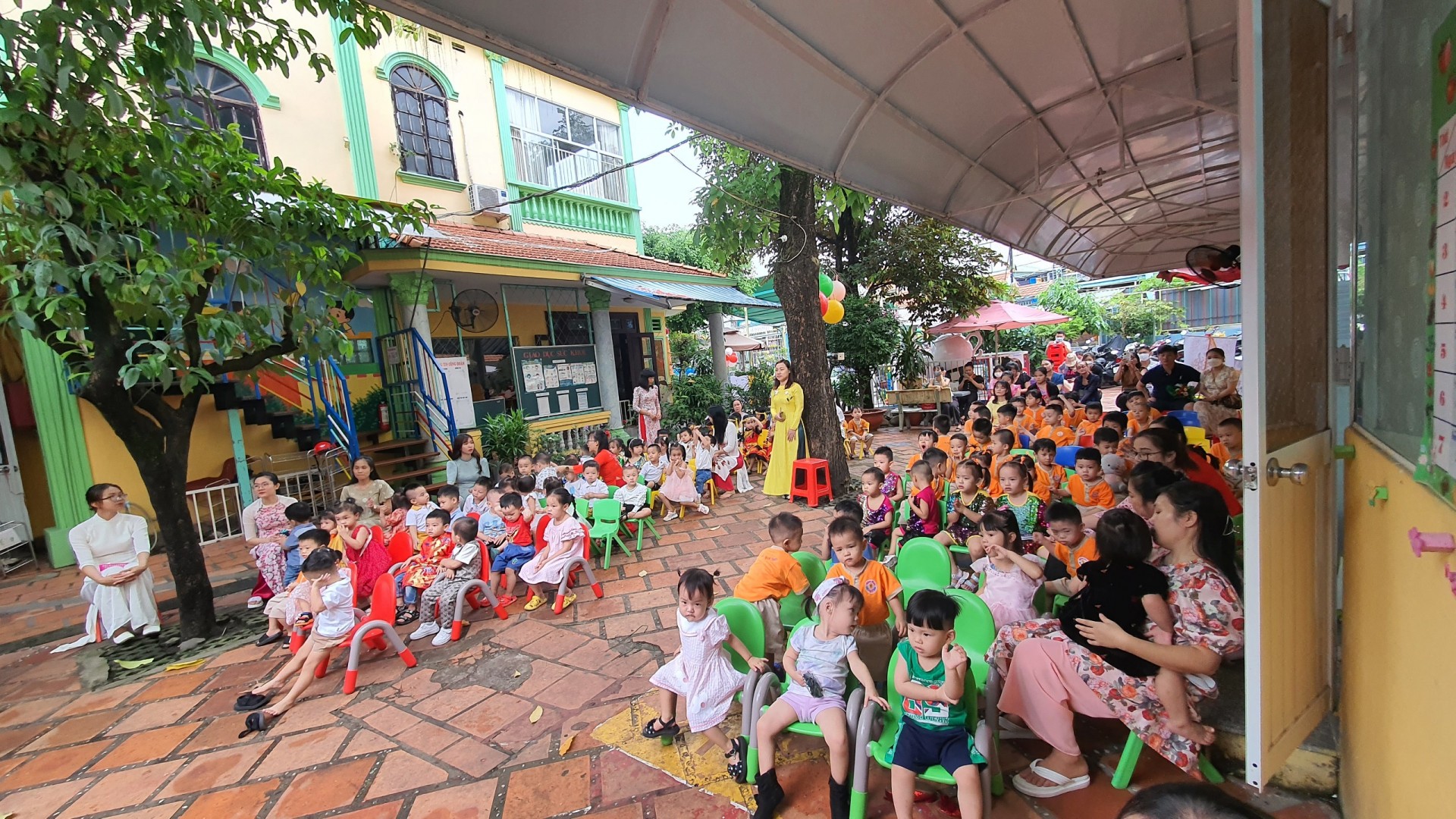 ƯƠM MẦM 20/11/2022