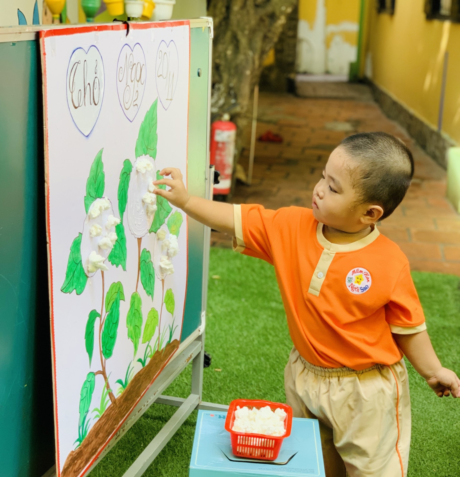 NGƯỜI GIEO MẦM XANH 20/11/2023