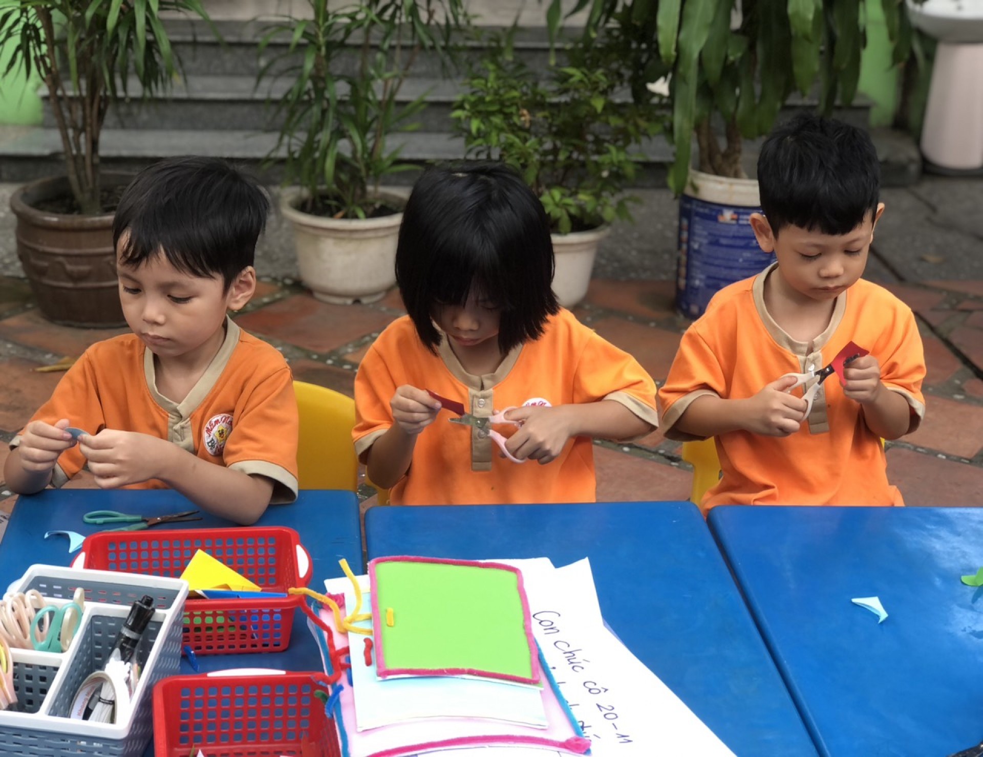 NGƯỜI GIEO MẦM XANH 20/11/2023