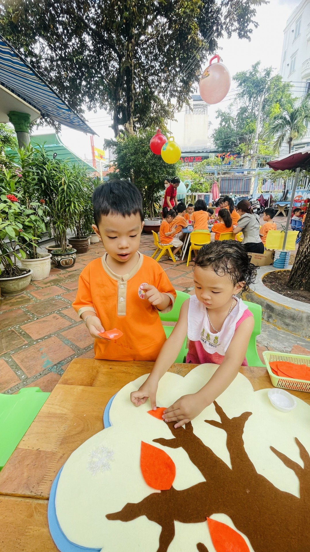 NGƯỜI GIEO MẦM XANH 20/11/2023