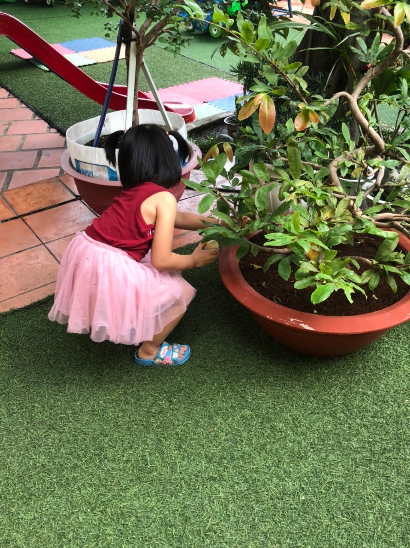 LỚP CHỒI BÉ TÌM HIỂU TRỨNG CÓ Ở ĐÂU?