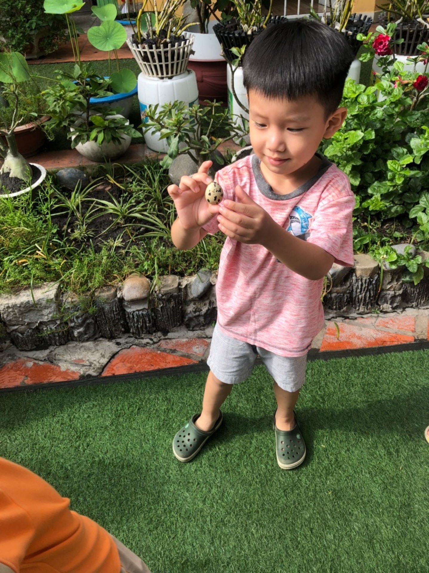 LỚP CHỒI BÉ TÌM HIỂU TRỨNG CÓ Ở ĐÂU?