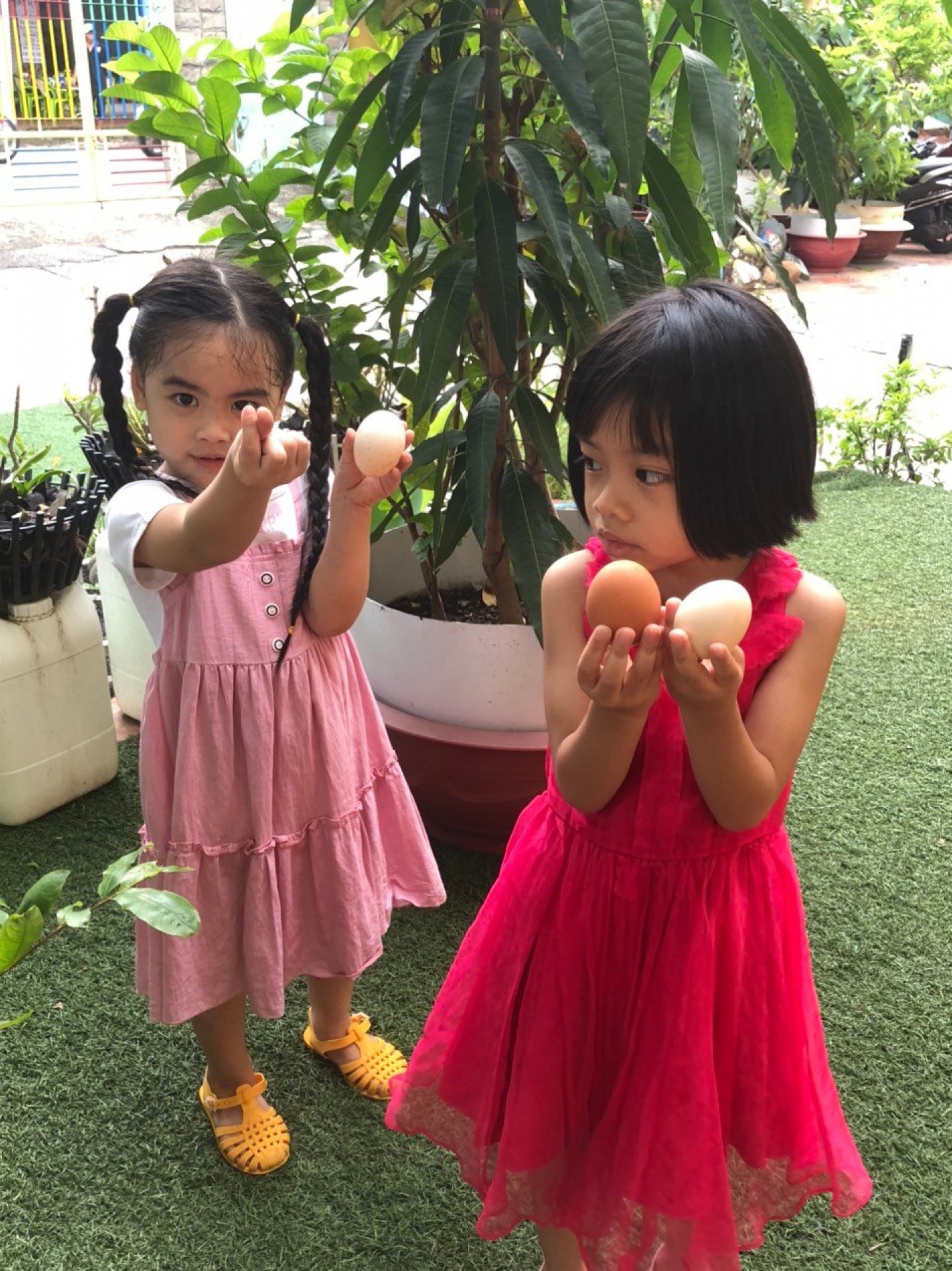 LỚP CHỒI BÉ TÌM HIỂU TRỨNG CÓ Ở ĐÂU?