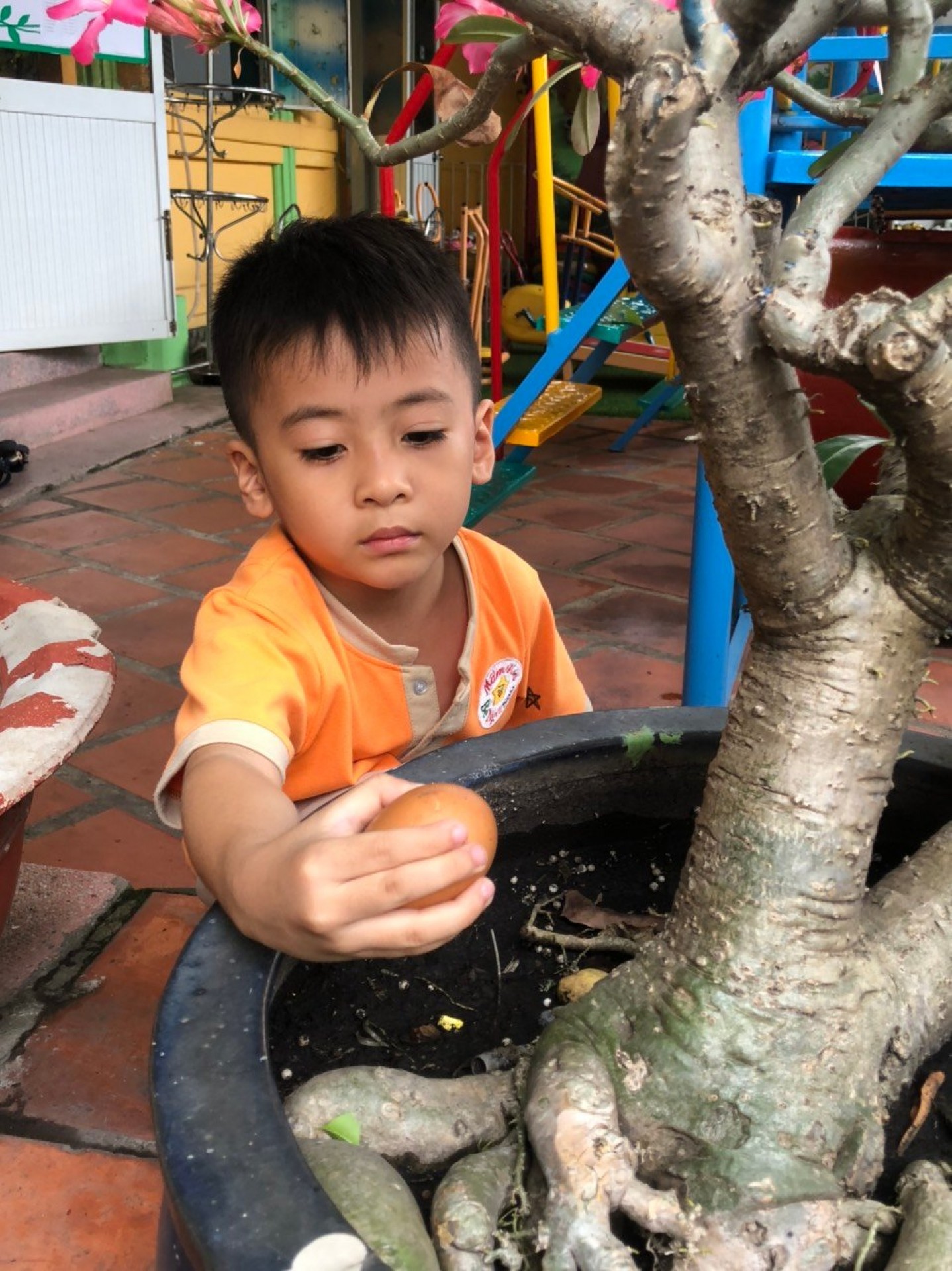 LỚP CHỒI BÉ TÌM HIỂU TRỨNG CÓ Ở ĐÂU?