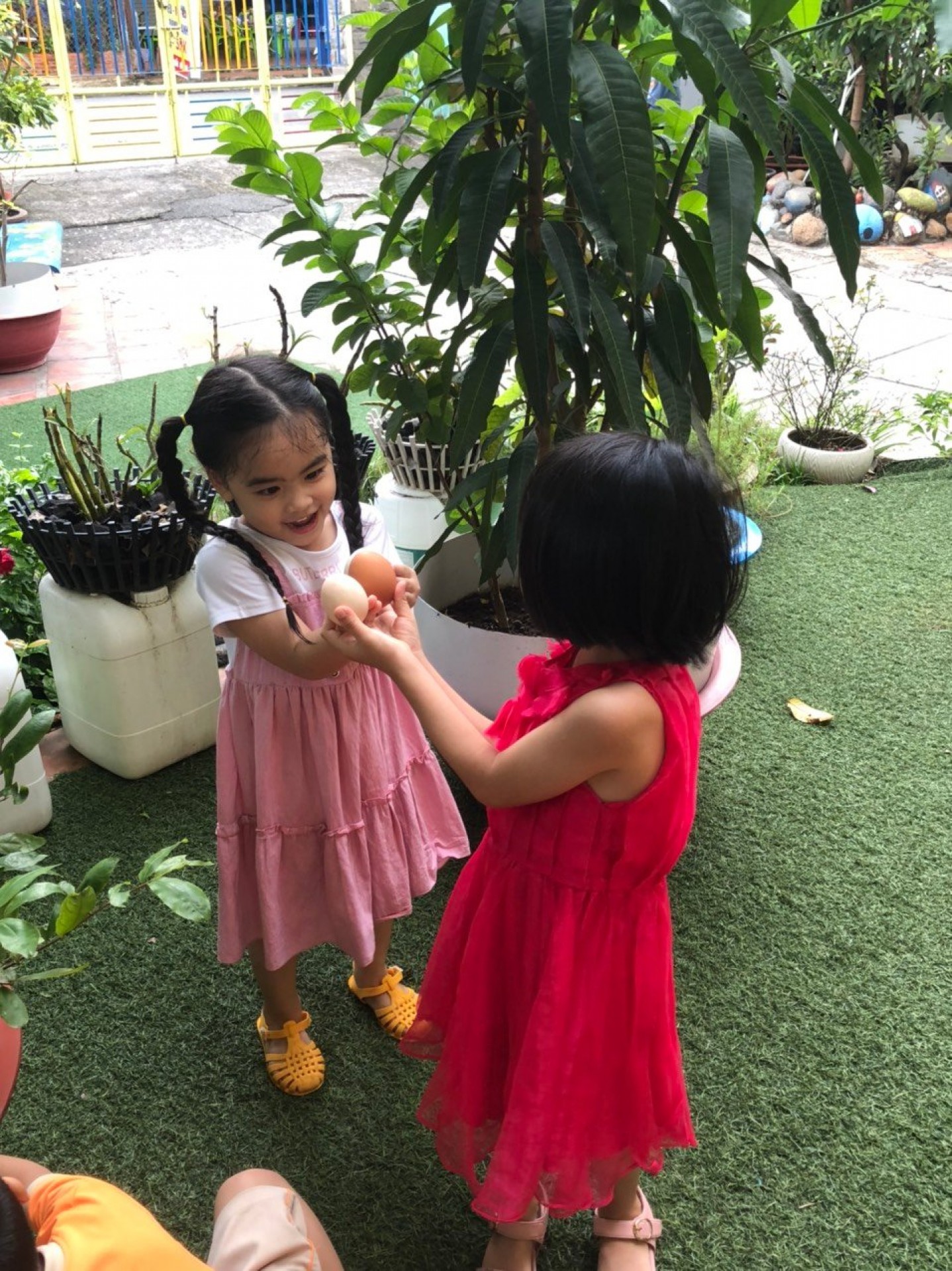 LỚP CHỒI BÉ TÌM HIỂU TRỨNG CÓ Ở ĐÂU?