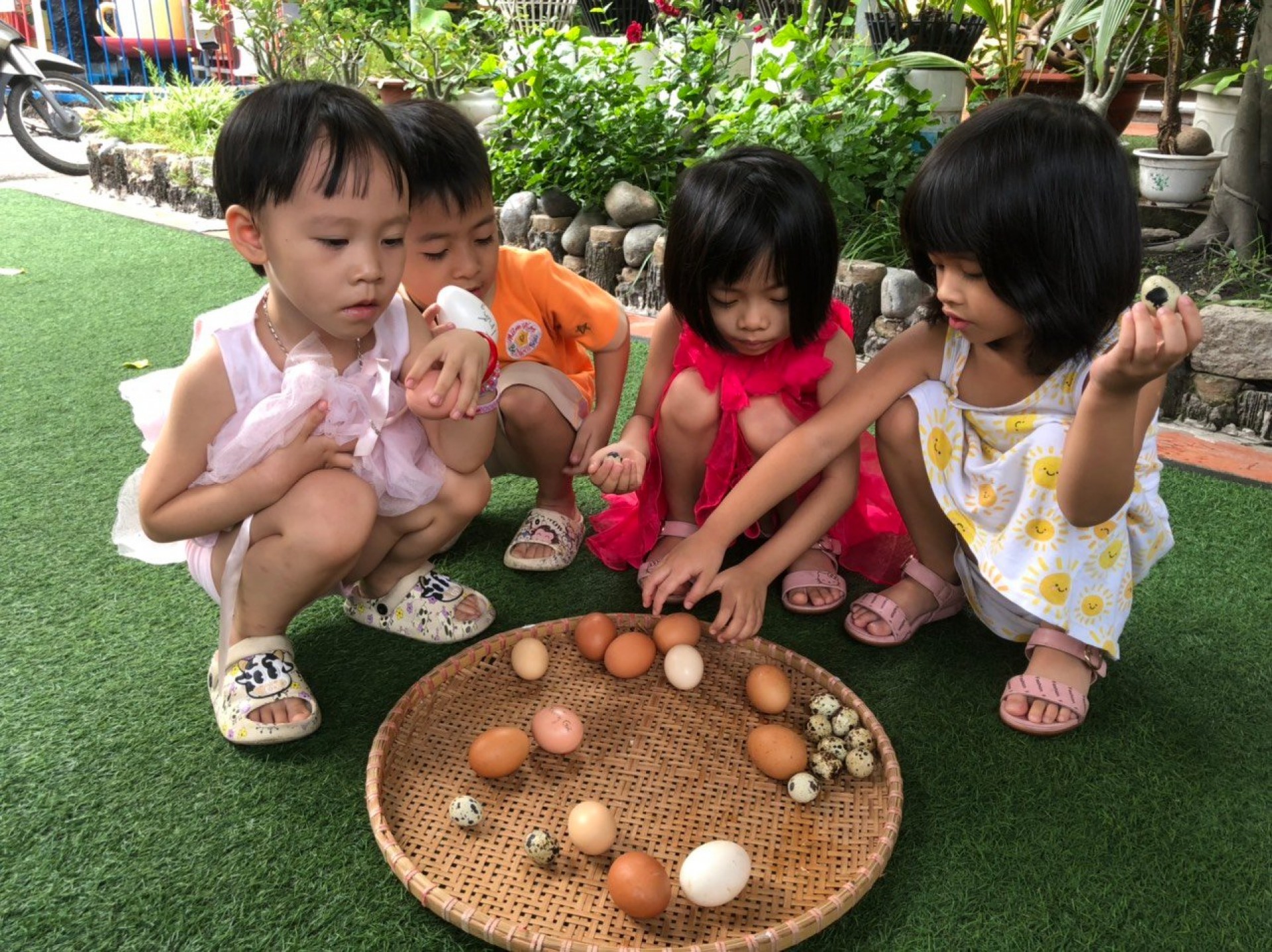 LỚP CHỒI BÉ TÌM HIỂU TRỨNG CÓ Ở ĐÂU?