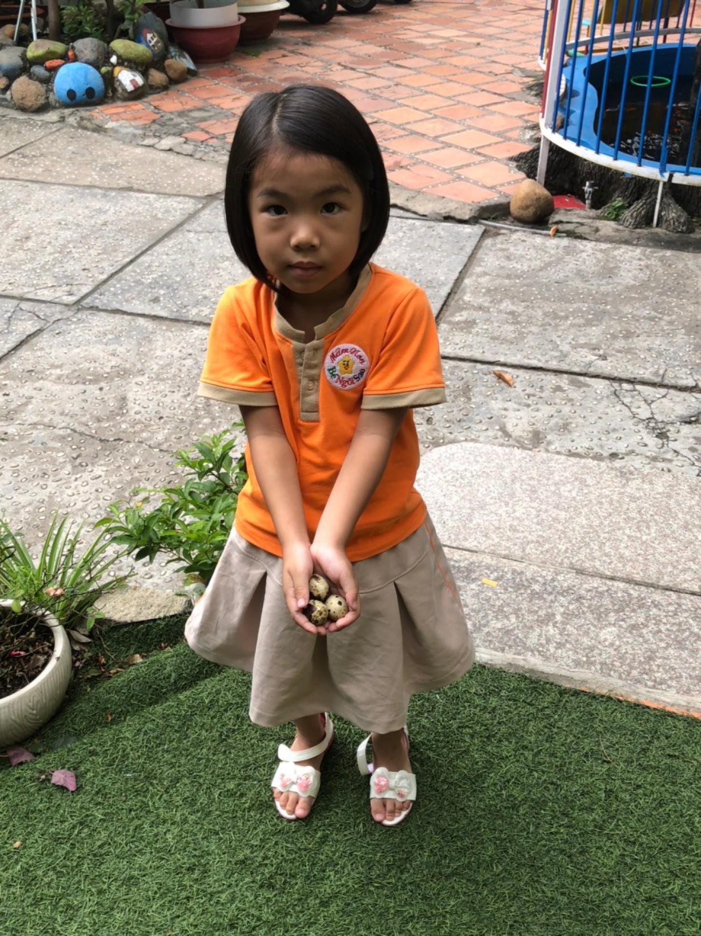 LỚP CHỒI BÉ TÌM HIỂU TRỨNG CÓ Ở ĐÂU?