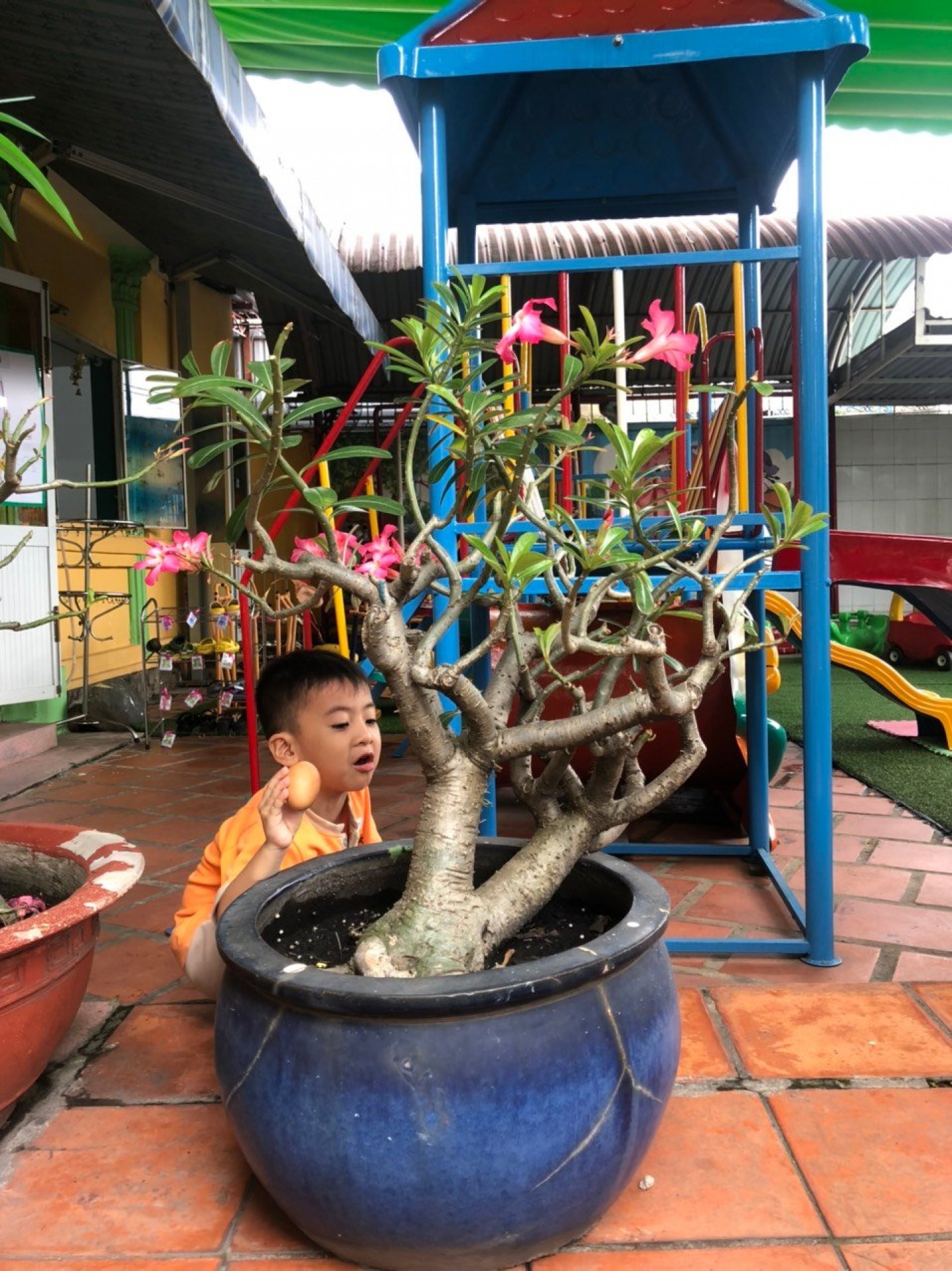 LỚP CHỒI BÉ TÌM HIỂU TRỨNG CÓ Ở ĐÂU?