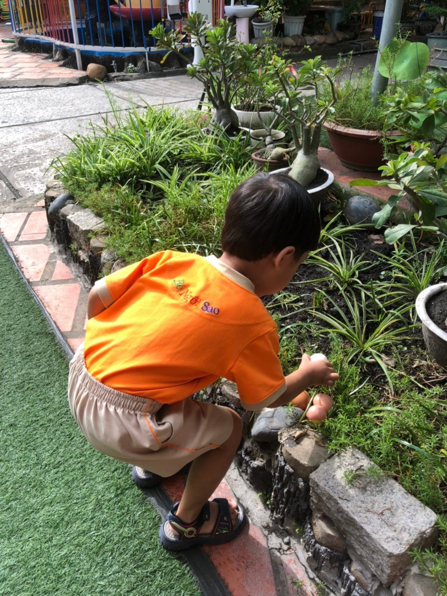 LỚP CHỒI BÉ TÌM HIỂU TRỨNG CÓ Ở ĐÂU?