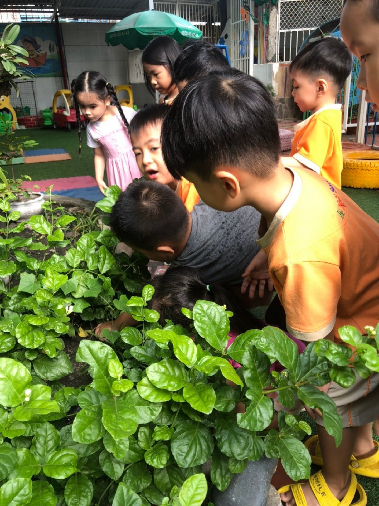 LỚP CHỒI BÉ TÌM HIỂU TRỨNG CÓ Ở ĐÂU?