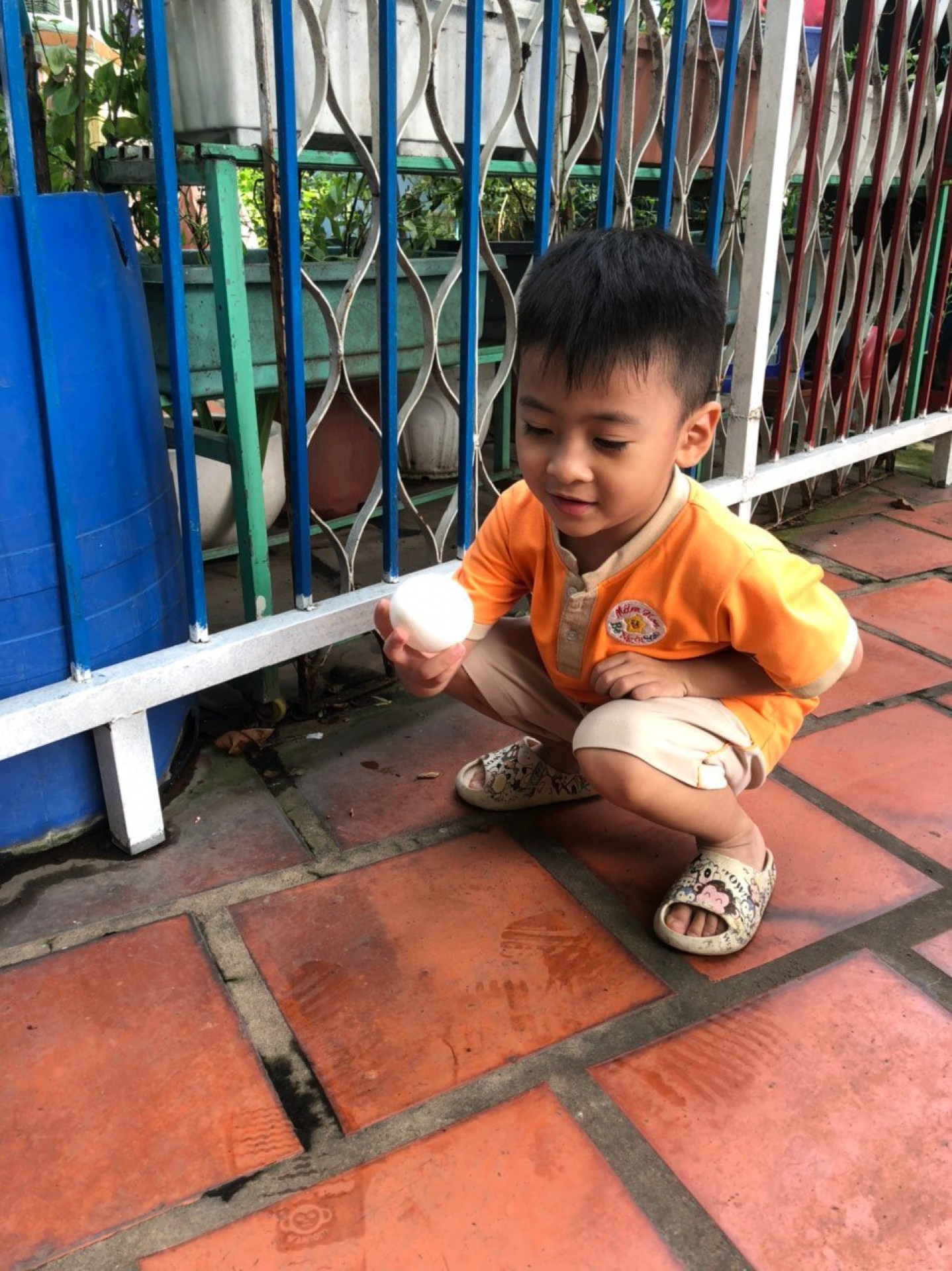 LỚP CHỒI BÉ TÌM HIỂU TRỨNG CÓ Ở ĐÂU?