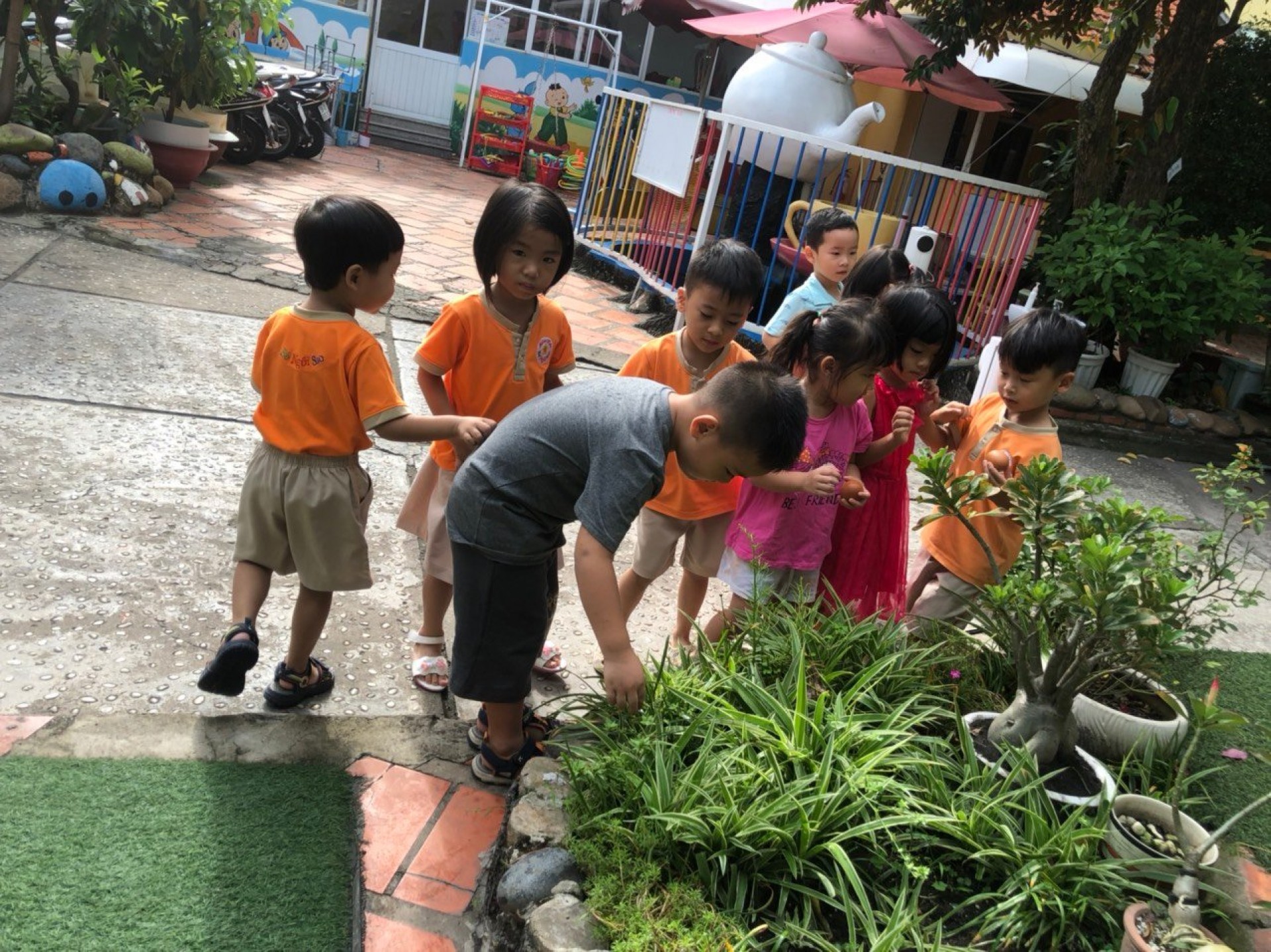 LỚP CHỒI BÉ TÌM HIỂU TRỨNG CÓ Ở ĐÂU?