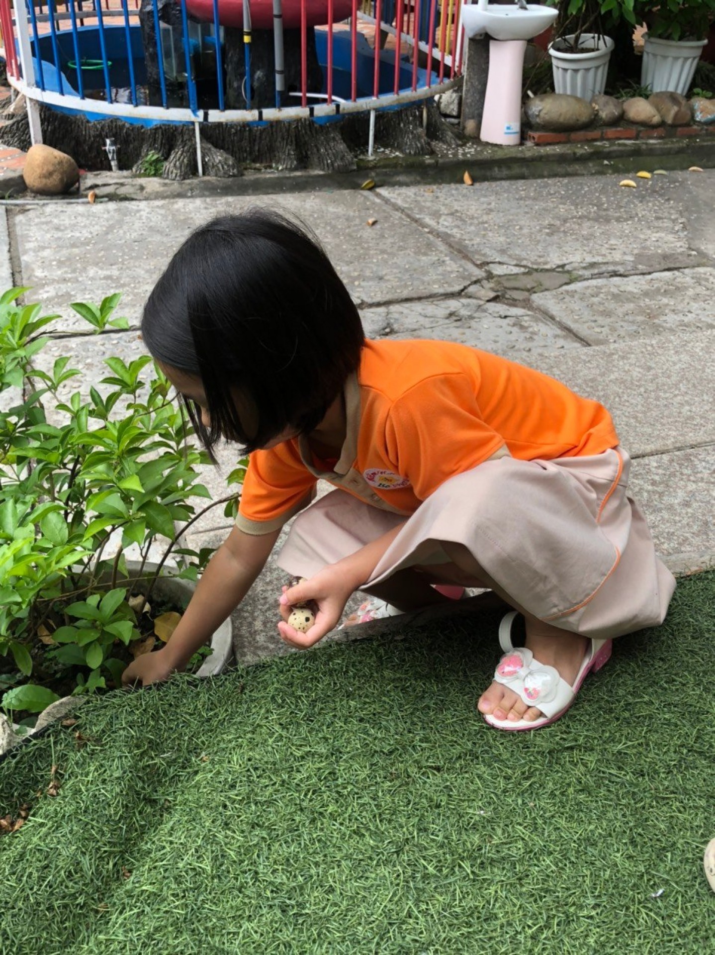 LỚP CHỒI BÉ TÌM HIỂU TRỨNG CÓ Ở ĐÂU?