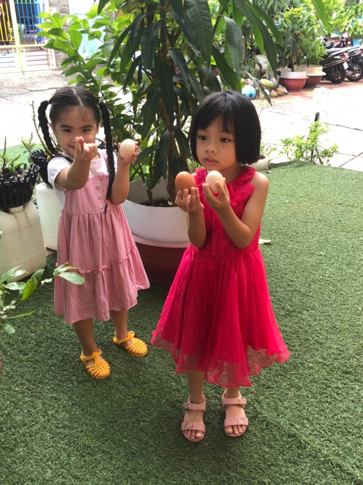 LỚP CHỒI BÉ TÌM HIỂU TRỨNG CÓ Ở ĐÂU?