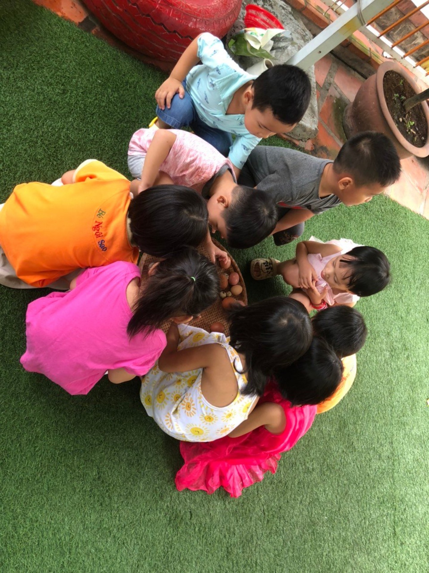 LỚP CHỒI BÉ TÌM HIỂU TRỨNG CÓ Ở ĐÂU?