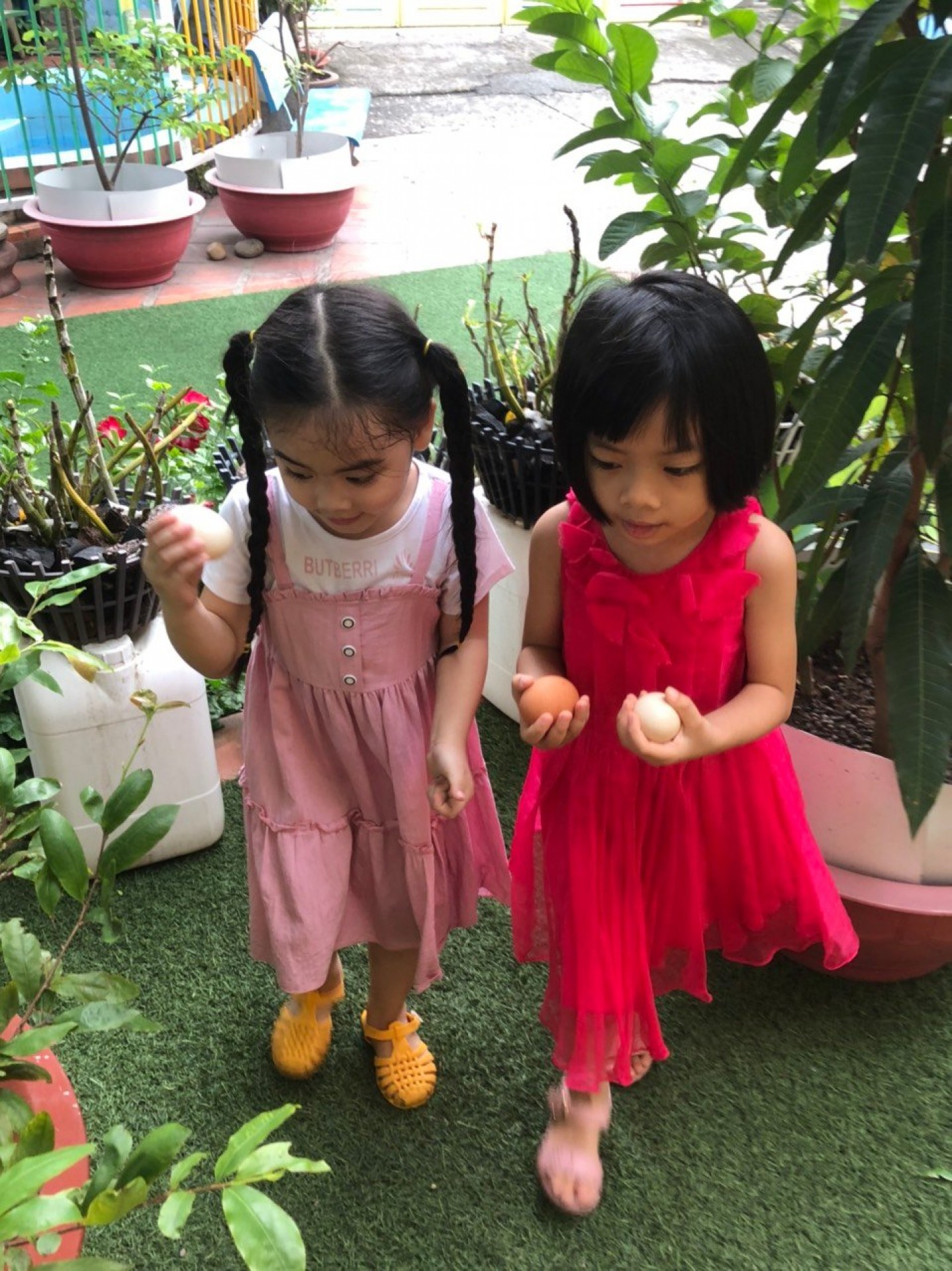 LỚP CHỒI BÉ TÌM HIỂU TRỨNG CÓ Ở ĐÂU?