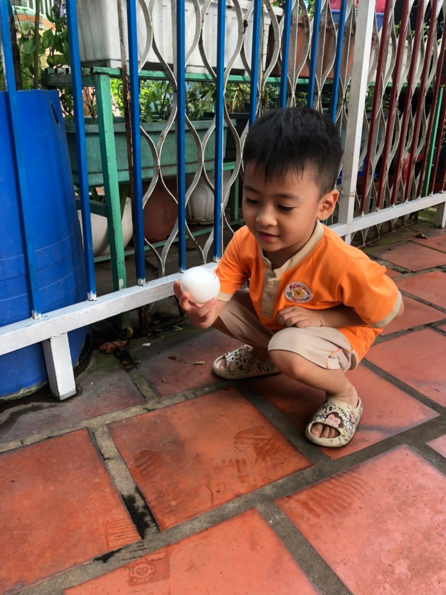 LỚP CHỒI BÉ TÌM HIỂU TRỨNG CÓ Ở ĐÂU?