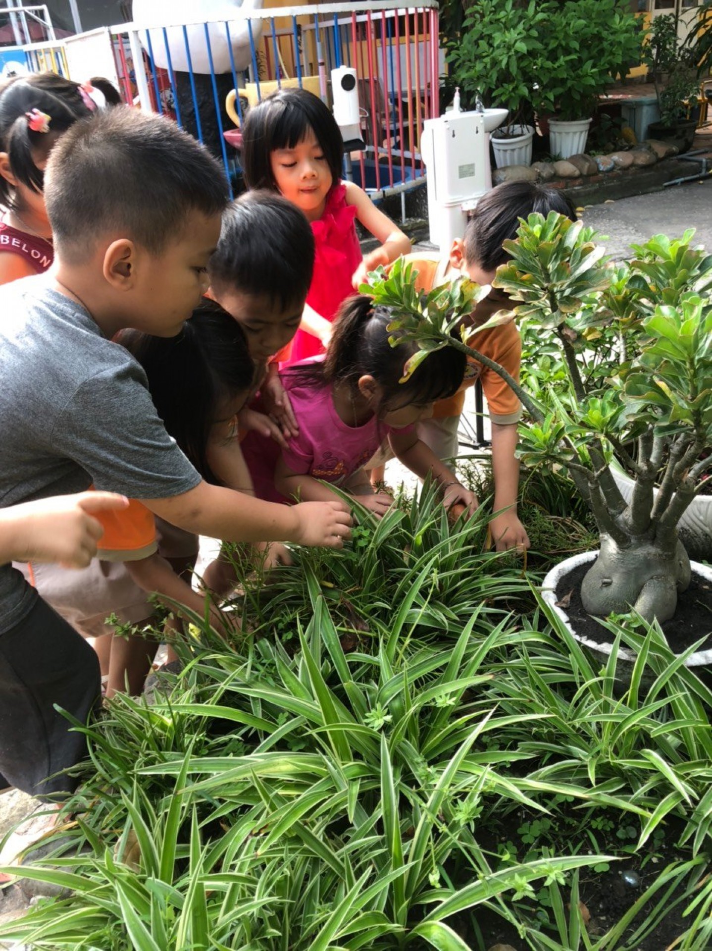 LỚP CHỒI BÉ TÌM HIỂU TRỨNG CÓ Ở ĐÂU?