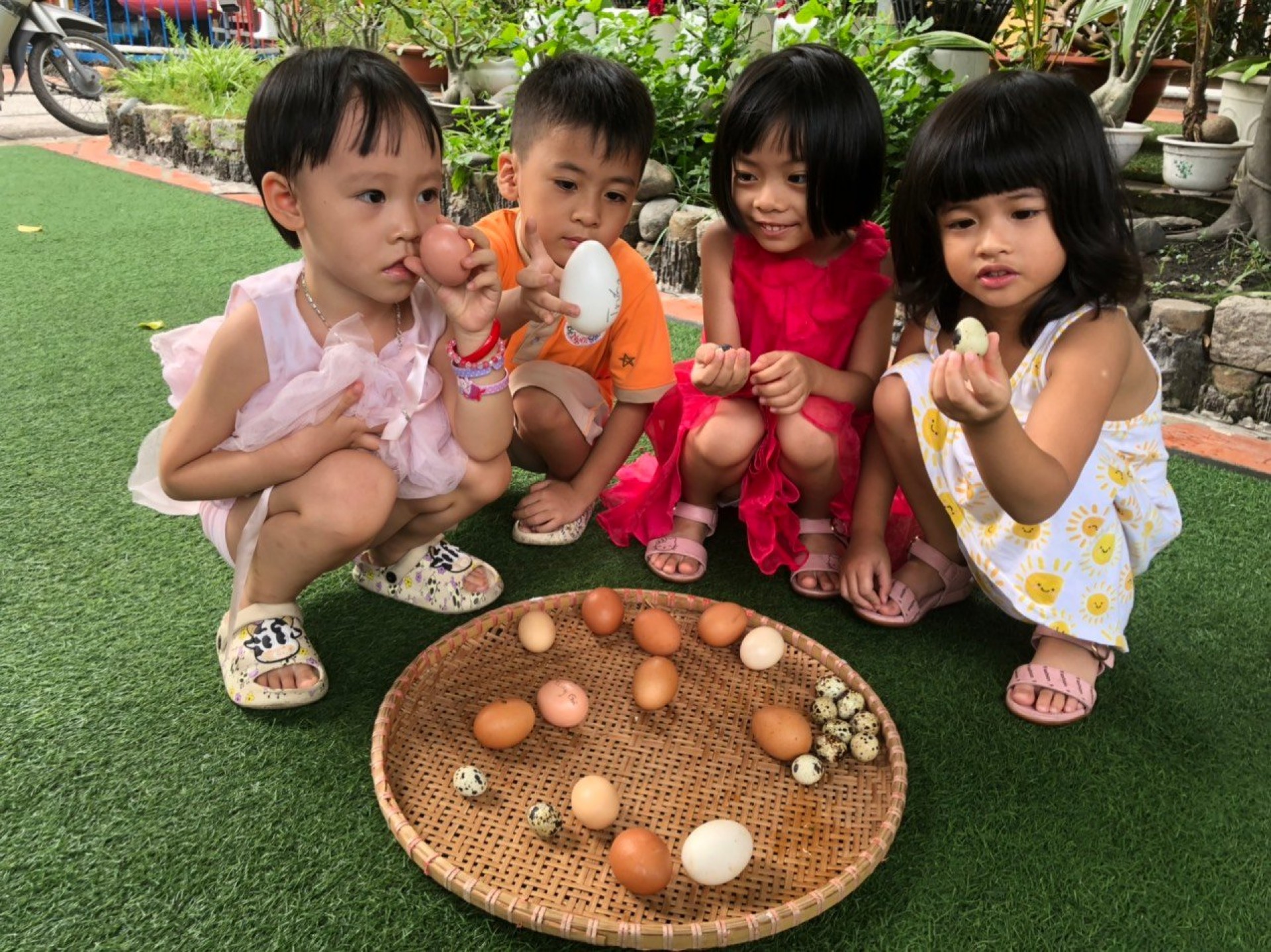 LỚP CHỒI BÉ TÌM HIỂU TRỨNG CÓ Ở ĐÂU?