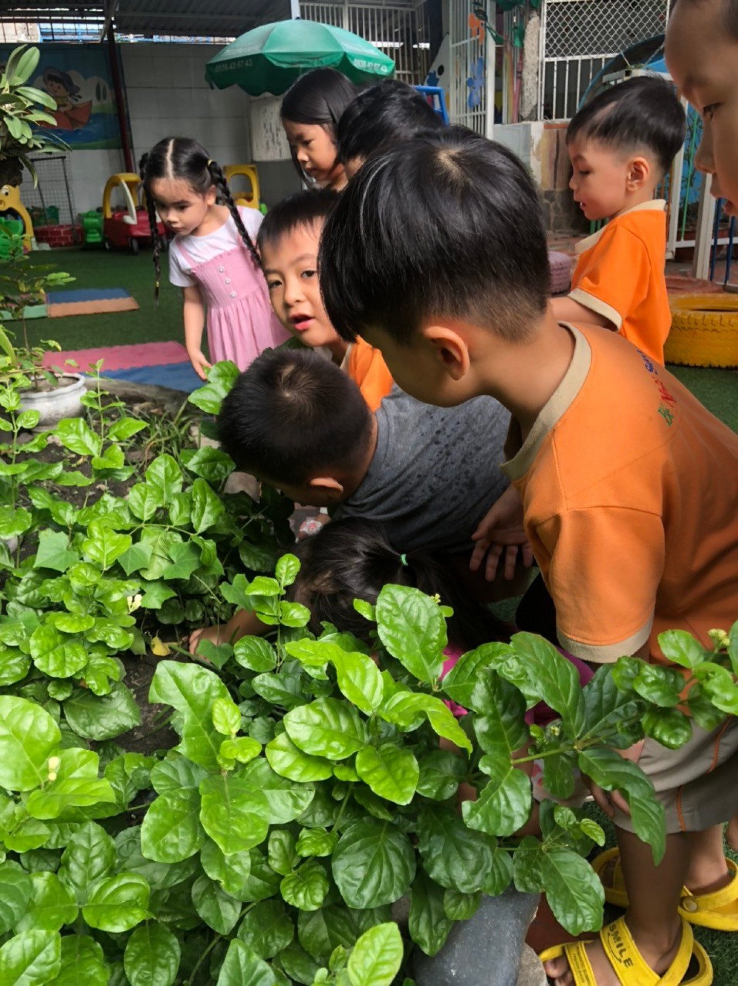 LỚP CHỒI BÉ TÌM HIỂU TRỨNG CÓ Ở ĐÂU?