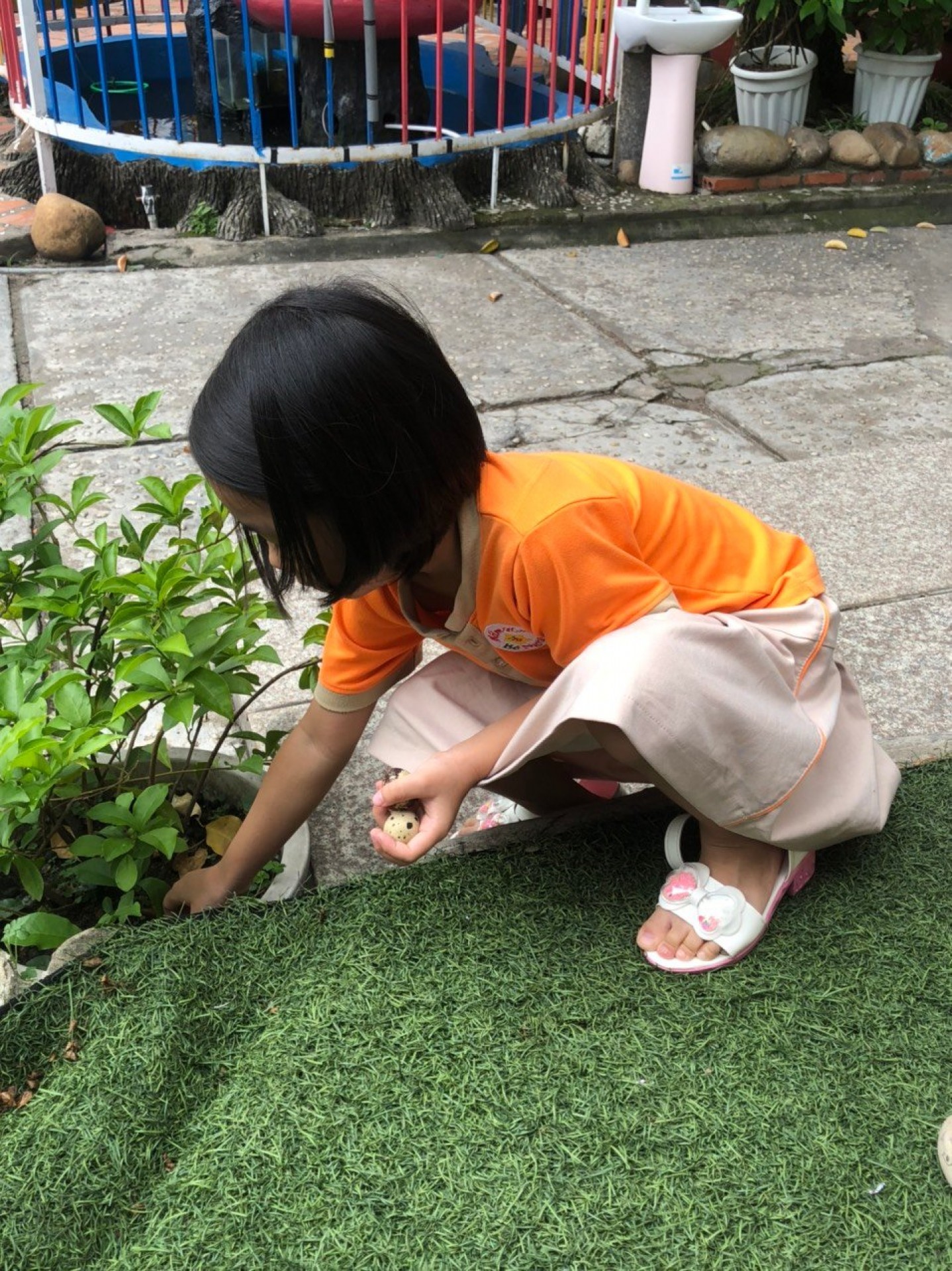 LỚP CHỒI BÉ TÌM HIỂU TRỨNG CÓ Ở ĐÂU?