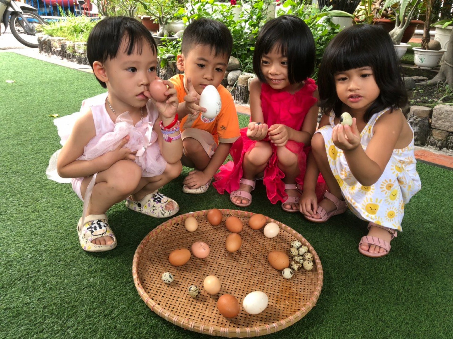 LỚP CHỒI BÉ TÌM HIỂU TRỨNG CÓ Ở ĐÂU?