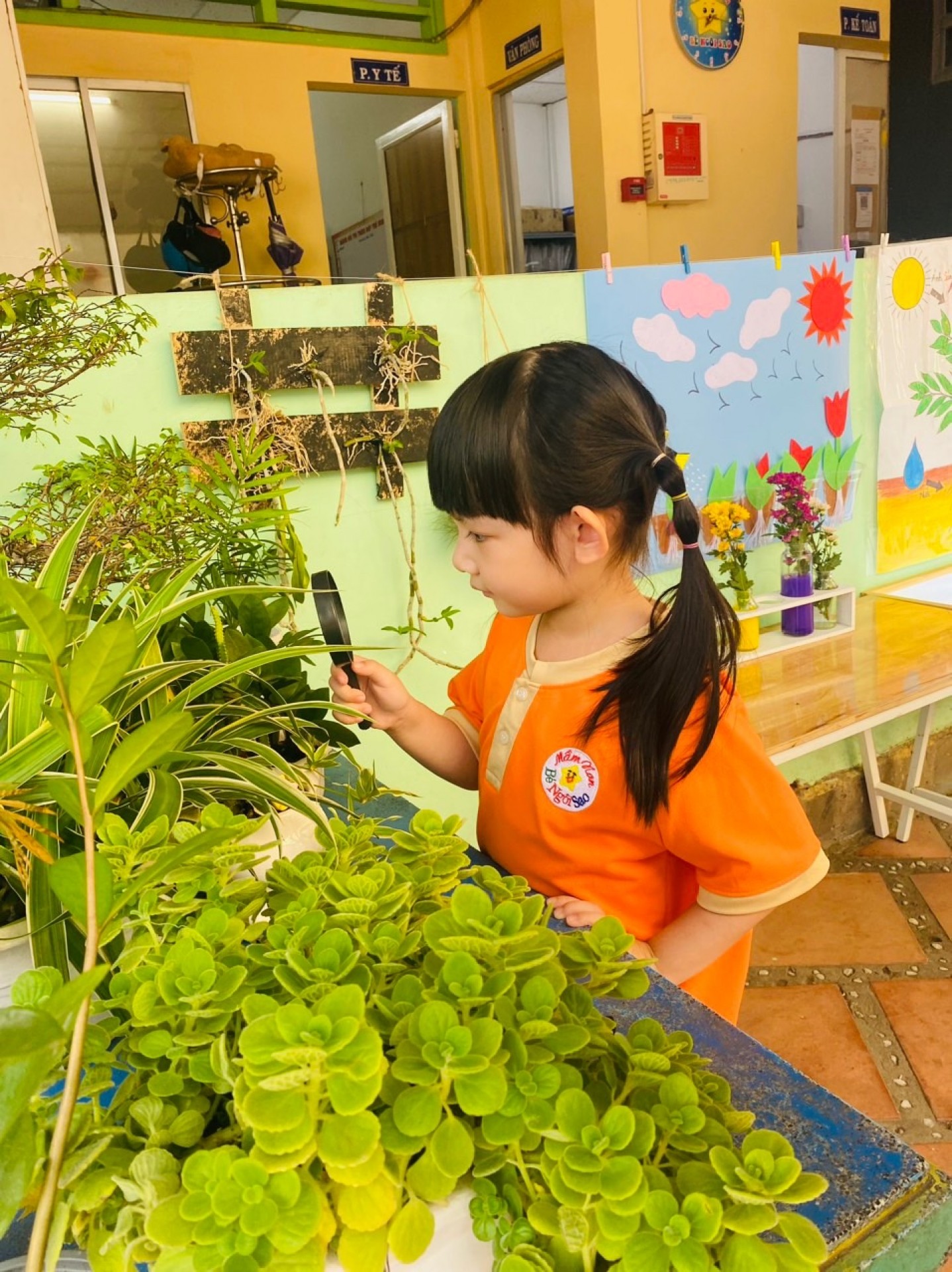 LỄ HỘI DÂN GIAN