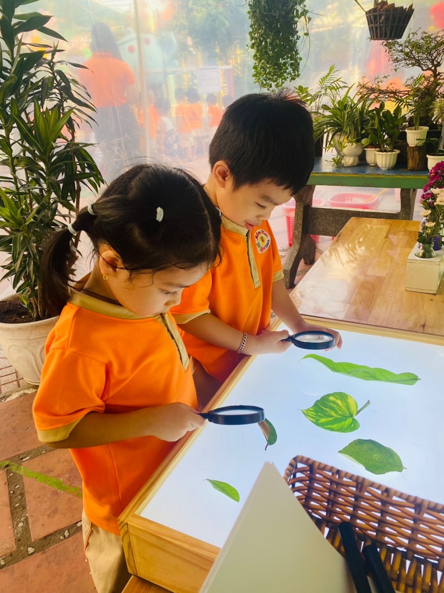 LỄ HỘI DÂN GIAN