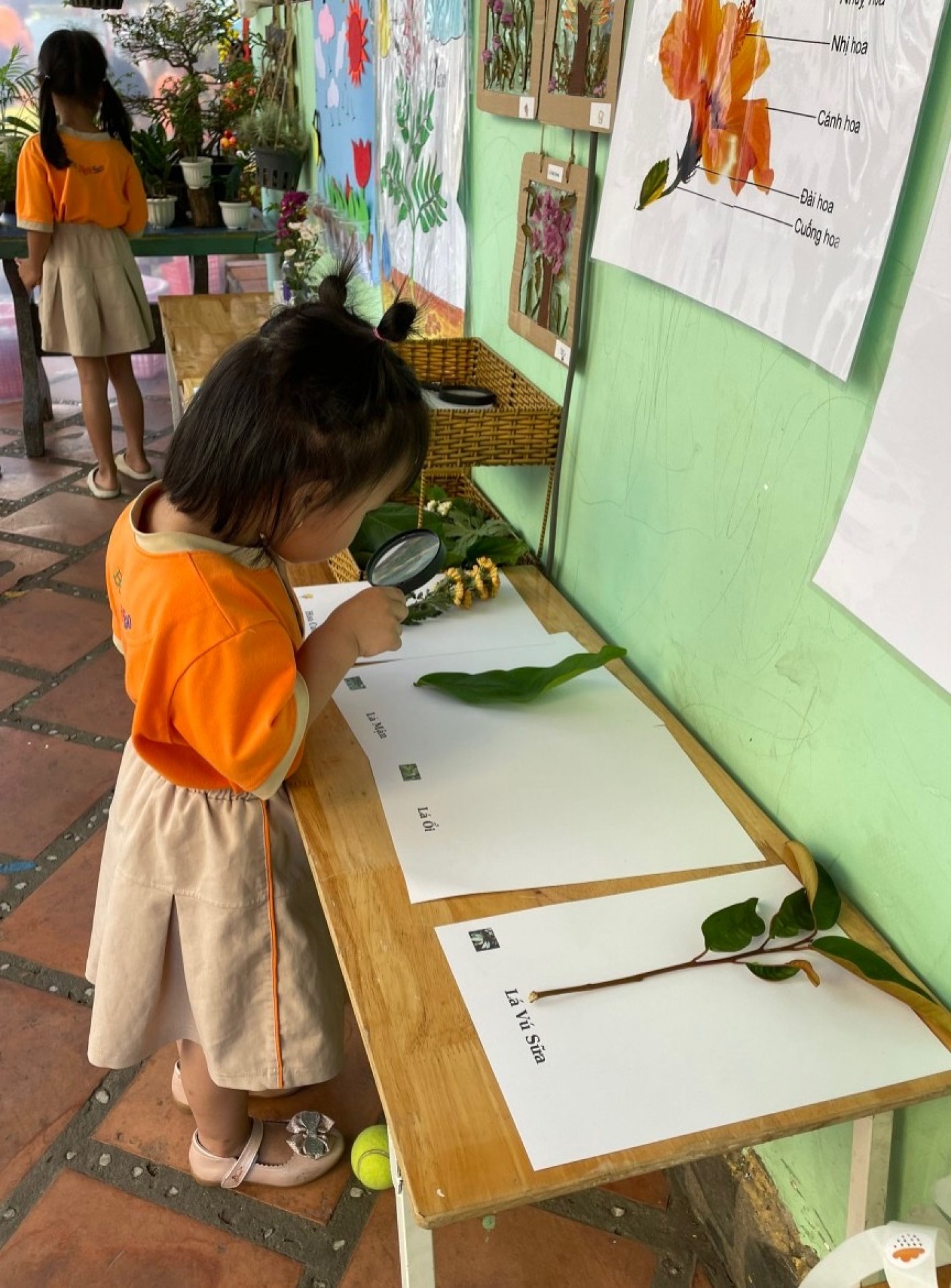 LỄ HỘI DÂN GIAN