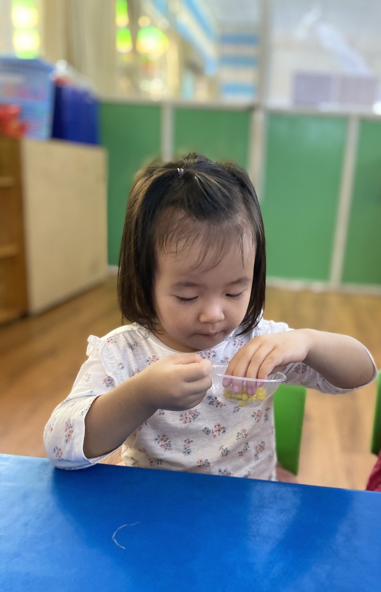 GIỖ TỔ HÙNG VƯƠNG - 2023