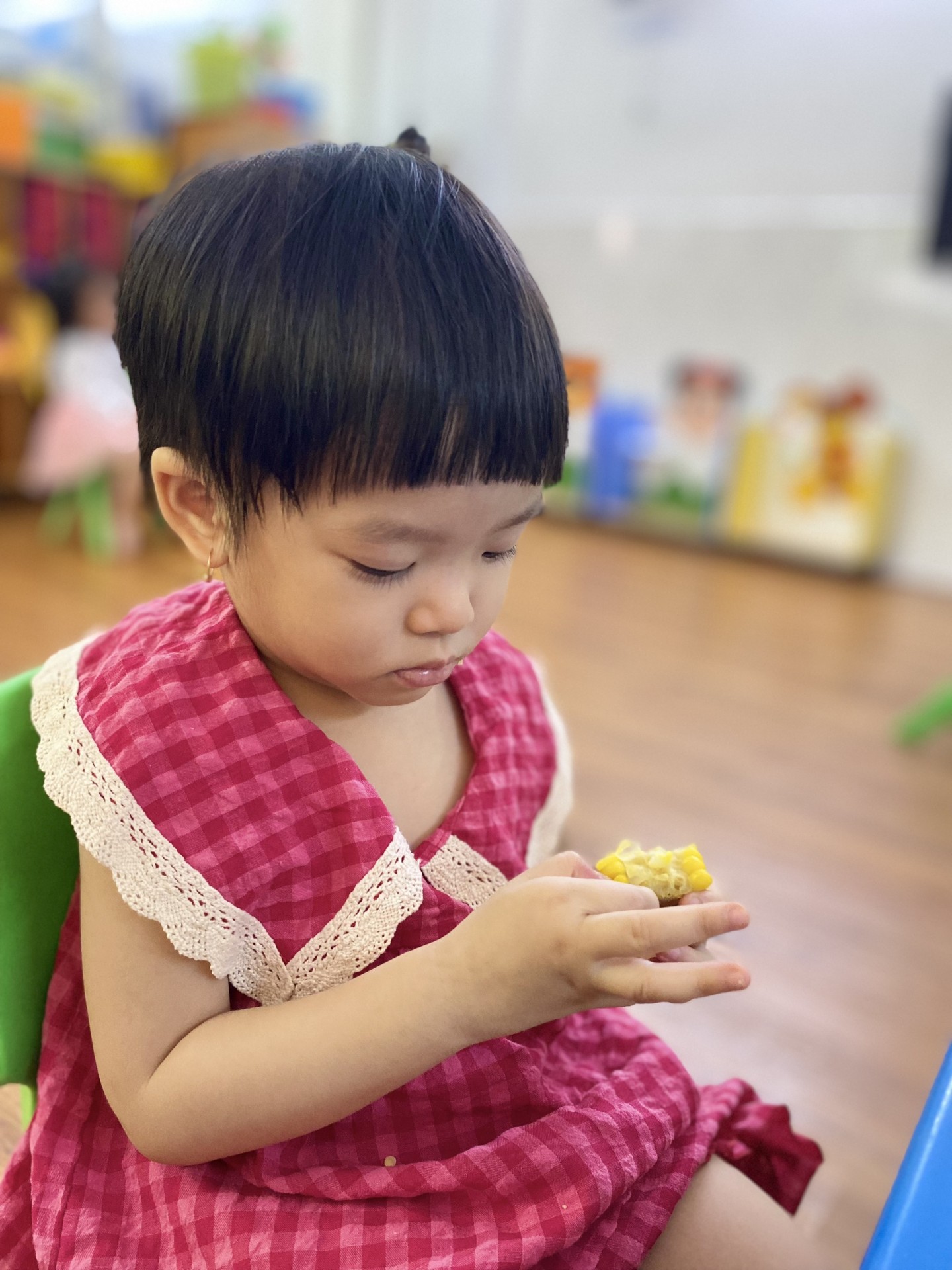 GIỖ TỔ HÙNG VƯƠNG - 2023